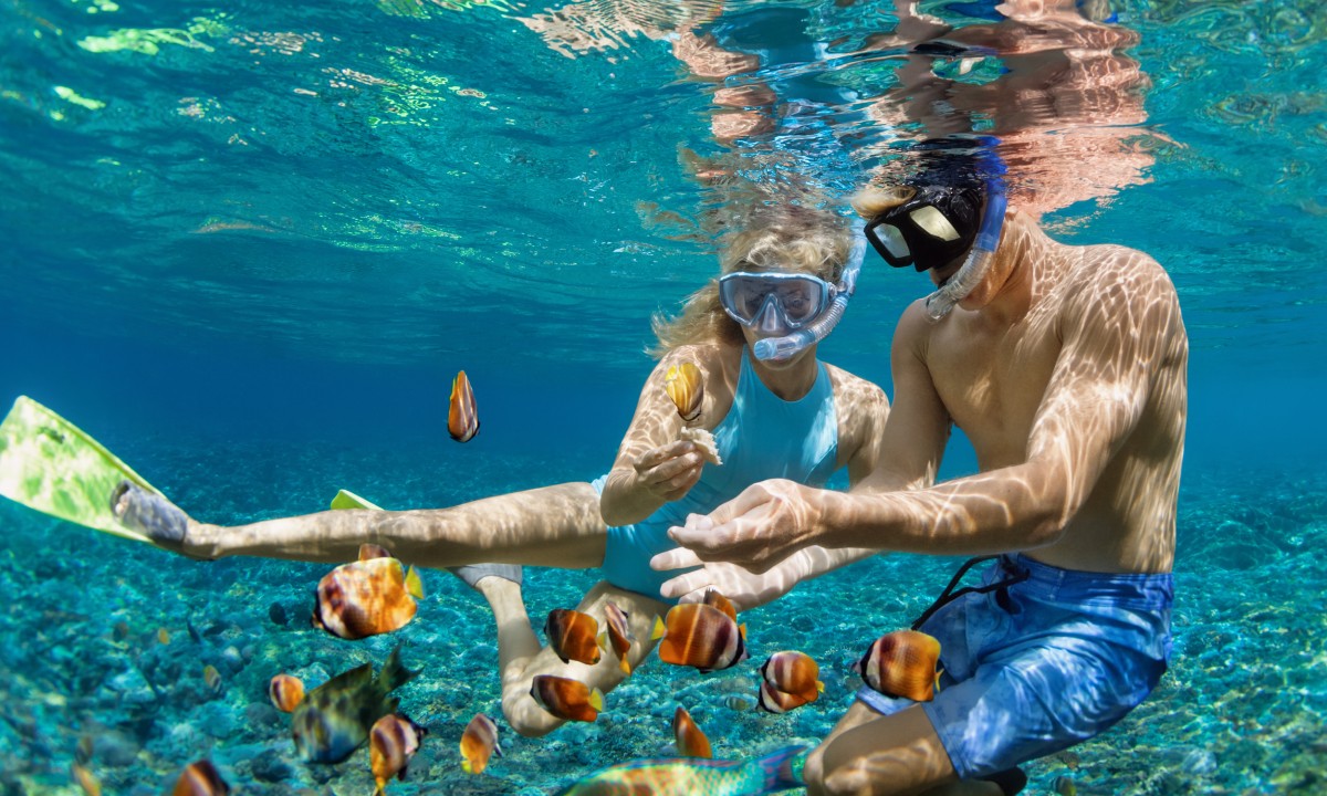 Snorkel